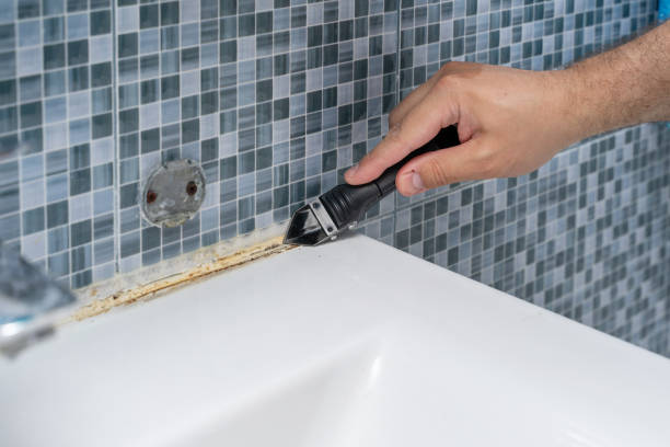 Best Mold Testing  in Paloma Creek South, TX