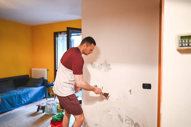 Best Certified Mold Removal  in Paloma Creek South, TX